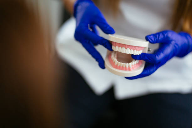 Reliable Crystal River, FL  Holistic Dental Services Solutions